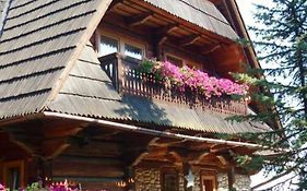 Bukovina Concept blisko basenów termalnych
